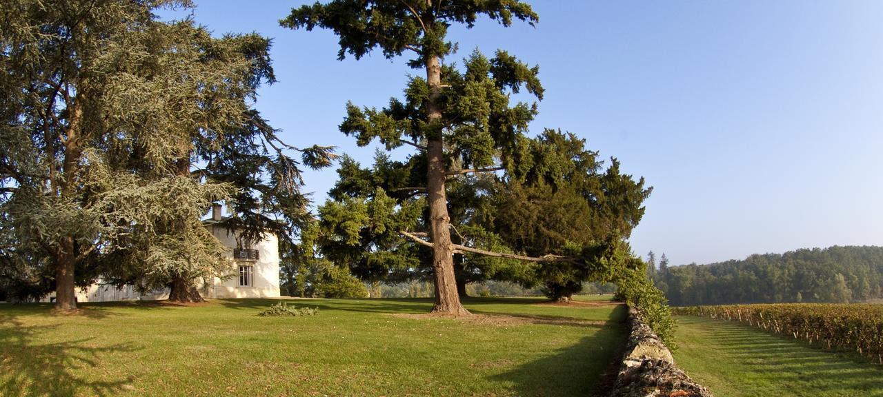 Pey La Tour - Logis Hotels & Restaurant Salleboeuf Exterior foto